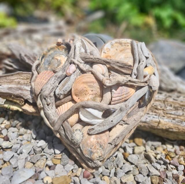 Medium Driftwood Heart w/ Shells