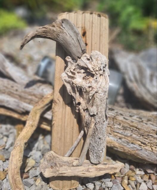 bird sculpture made out of driftwood