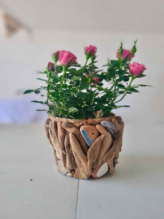 handmade driftwood plant pot