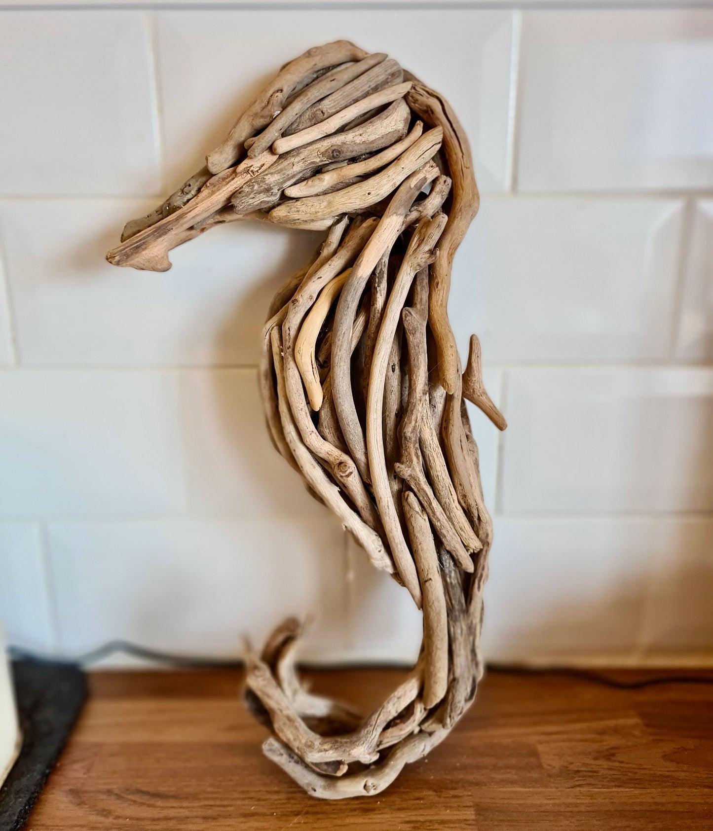 Driftwood Seahorse (Medium)