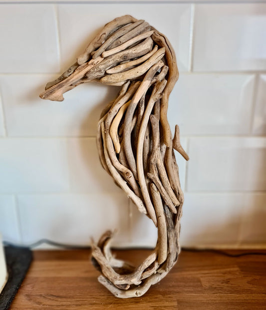 Driftwood Seahorse (Medium)