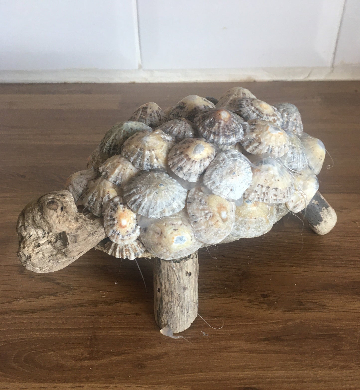 Driftwood Tortoise (Large)