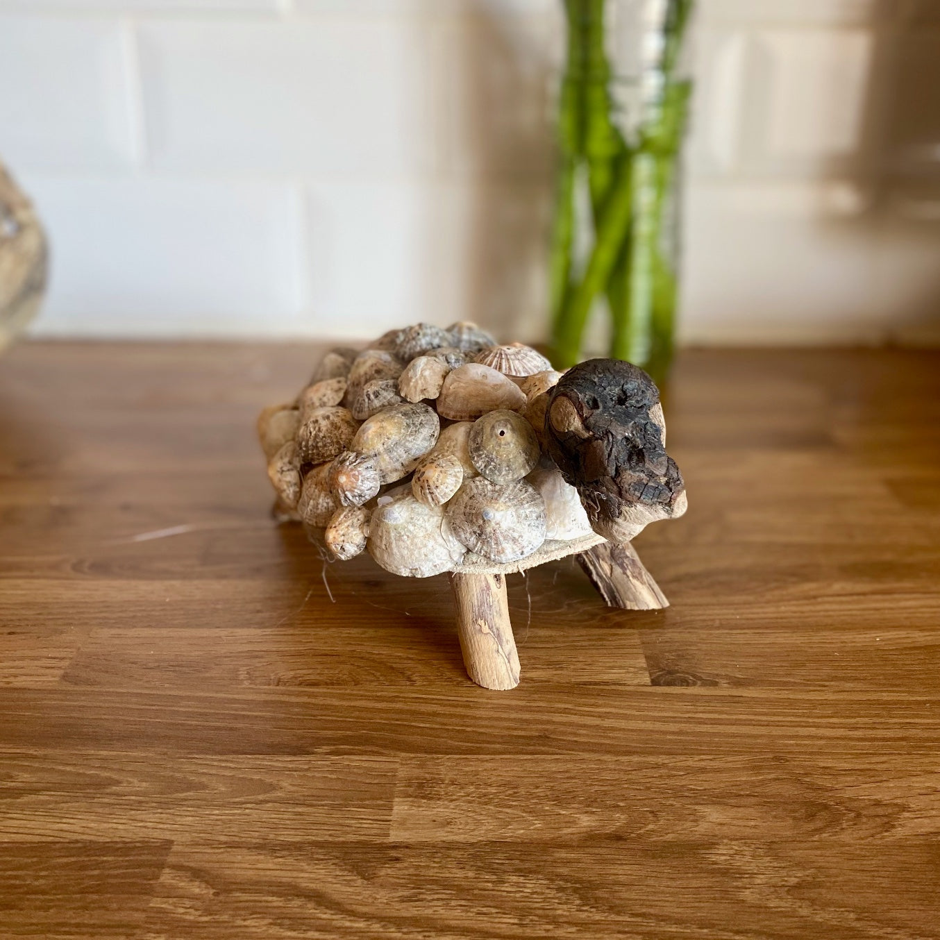 Driftwood tortoise