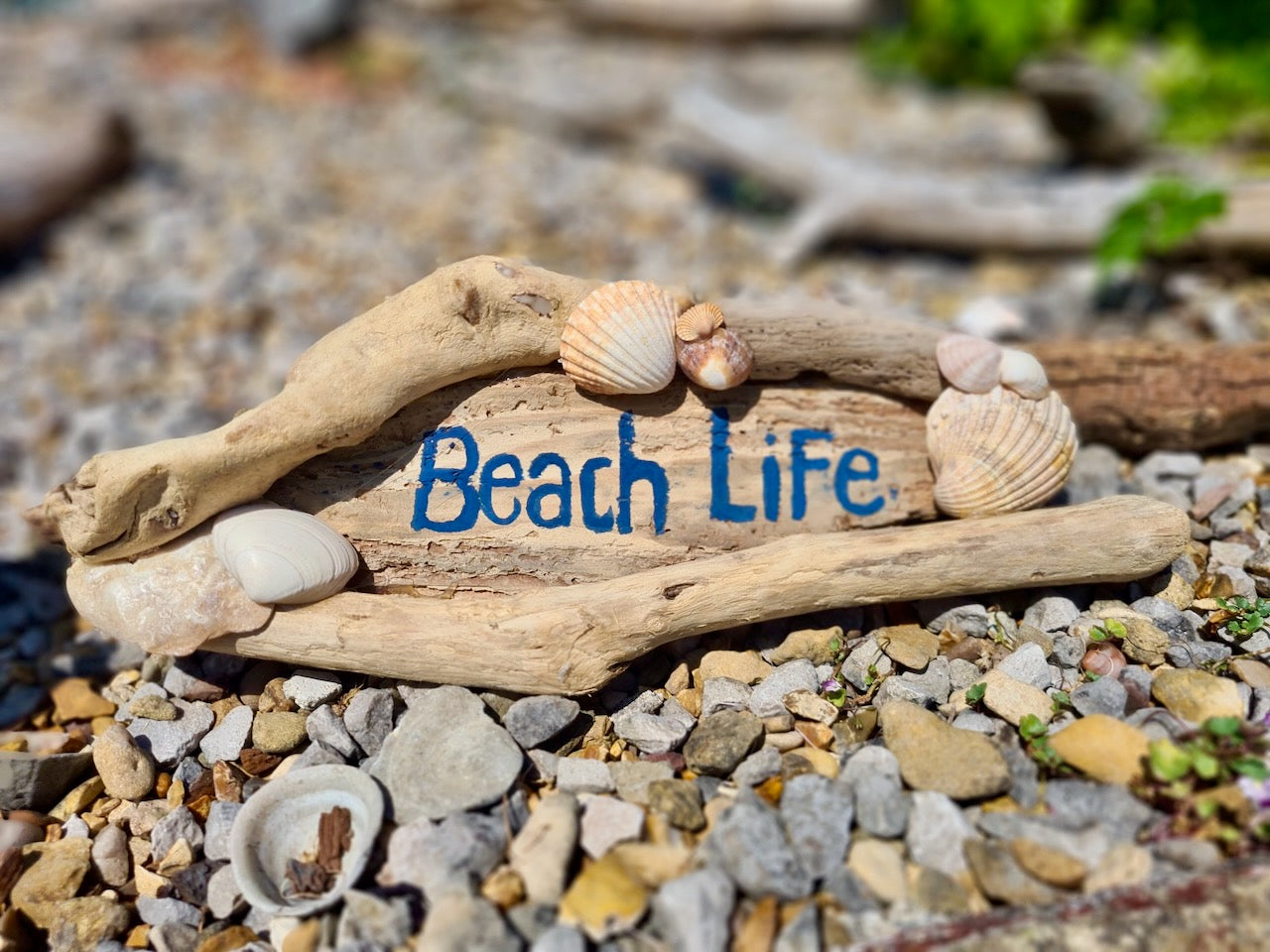 driftwood log with "beach life" painted on and shell detailing
