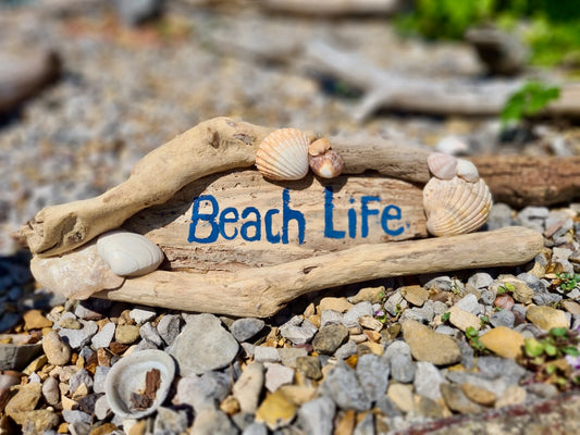driftwood log with "beach life" painted on and shell detailing