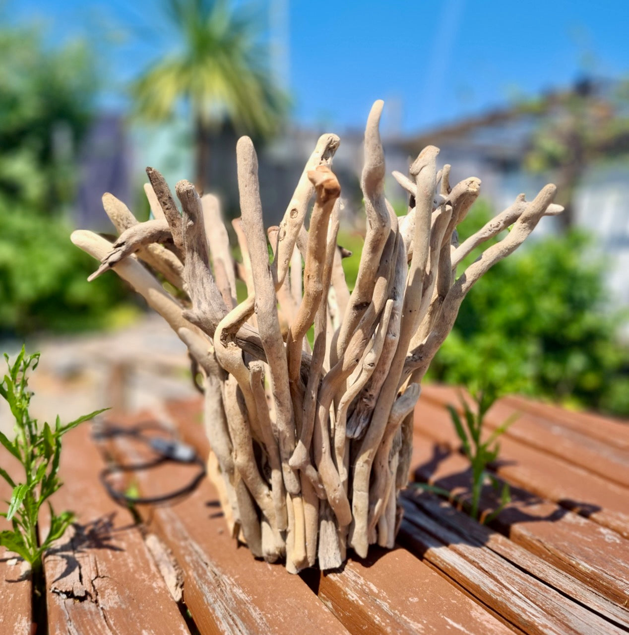 make driftwood vase