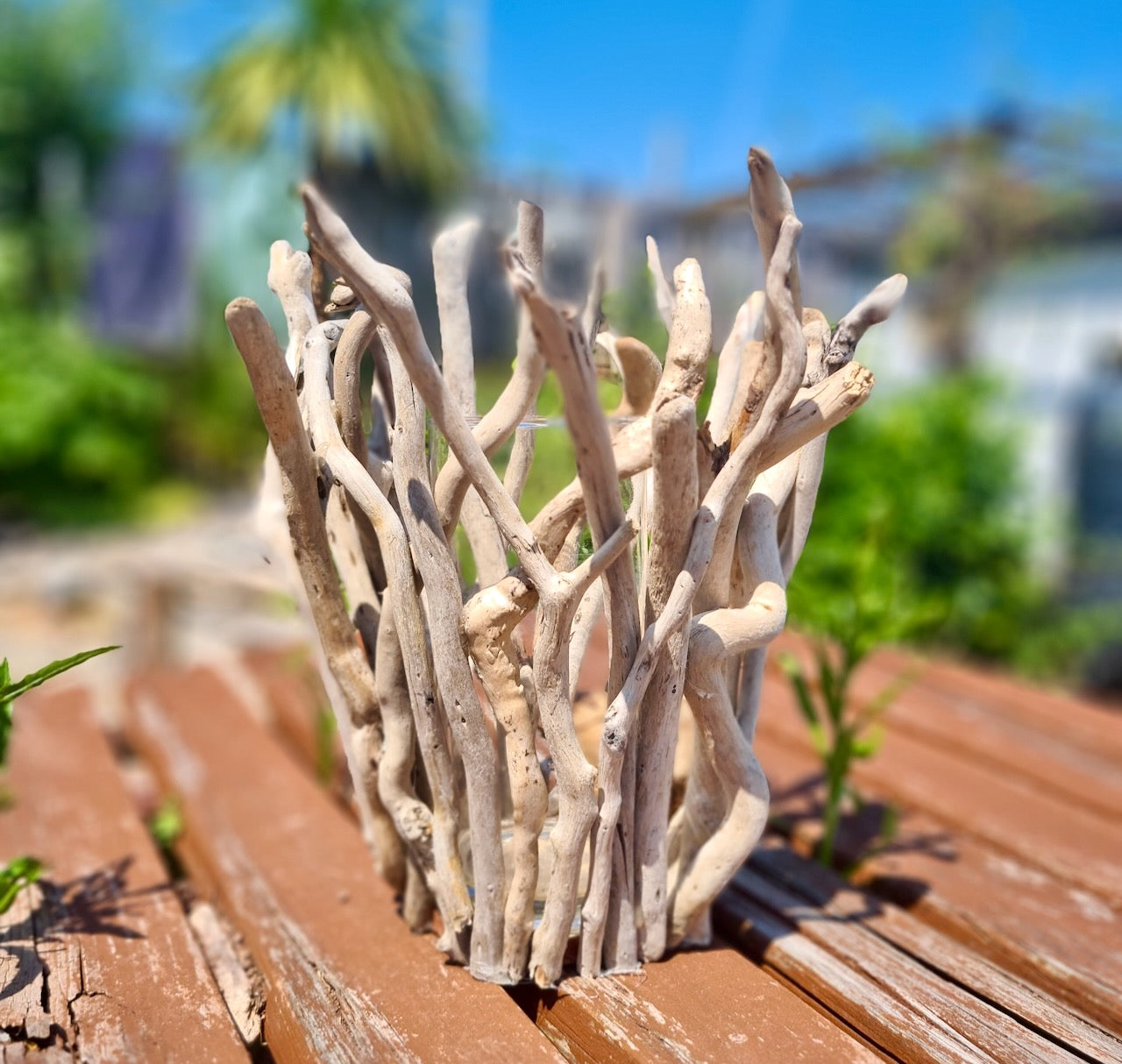 driftwood clad vase