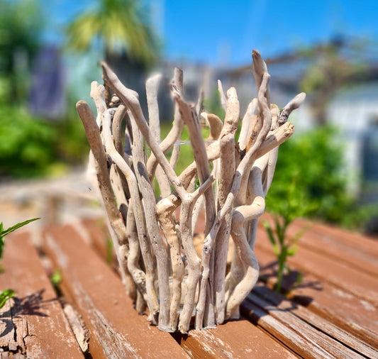 driftwood clad vase