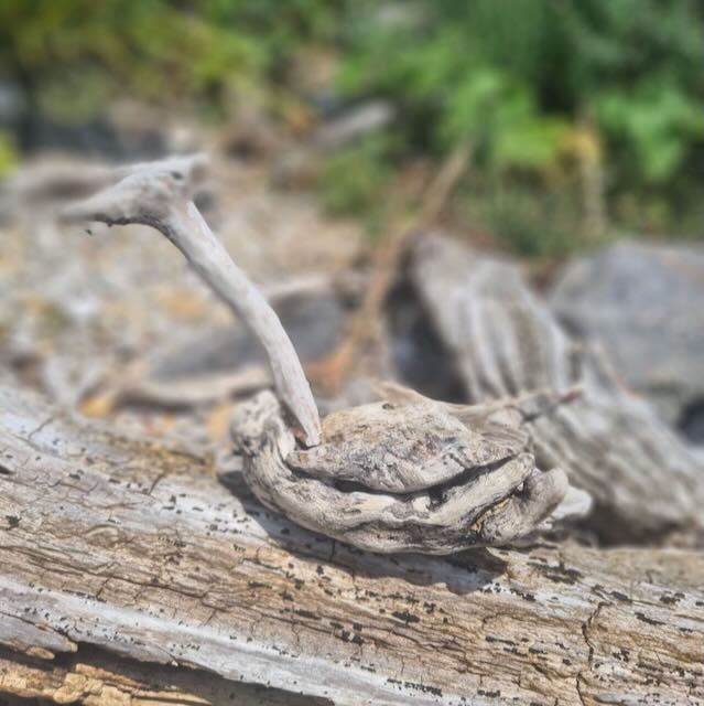 swan made out of driftwood