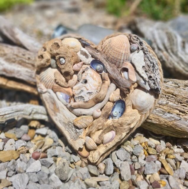 handmade driftwood heart with shells